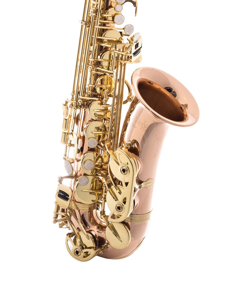 Sakkusu - Alto Saxophone - Deluxe - Ex-Hire - Grade A - SAX