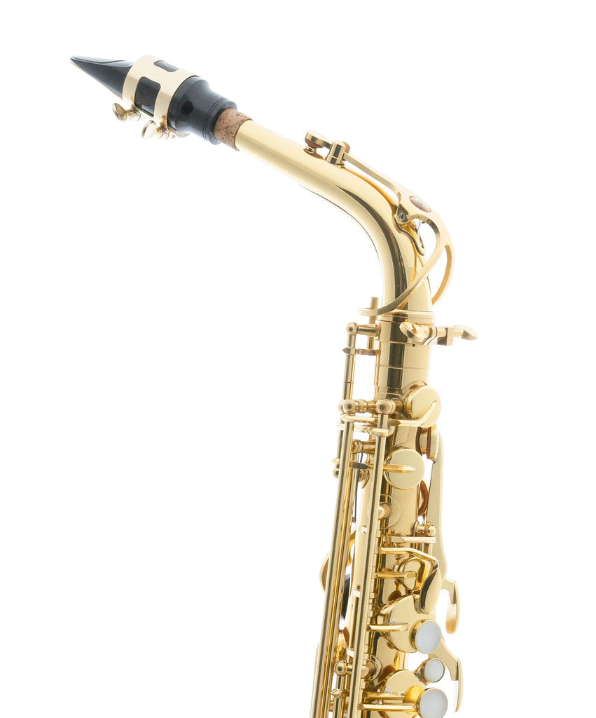 Trevor James - The Horn - Alto Saxophone - Gold Lacquer - SAX