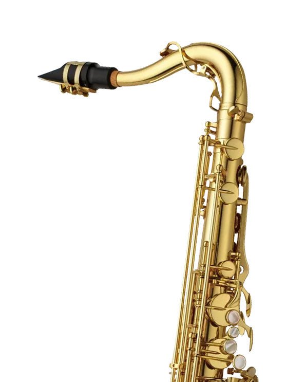 Yanagisawa TWO10 - Tenor Saxophone - Gold Lacquer - SAX