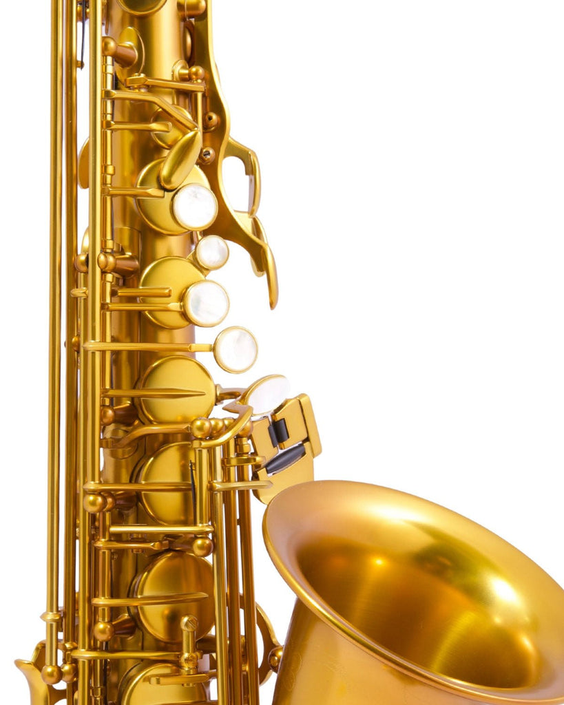 BetterSax Session - Alto Saxophone - Matt Dark Gold - SAX