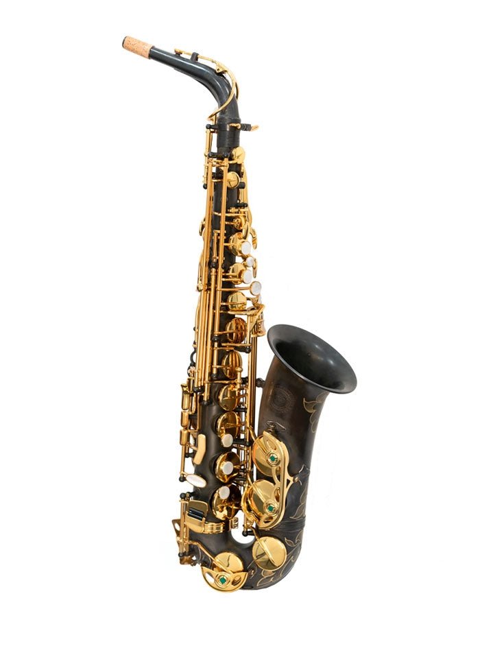 Theo Wanne NARAYAN Alto Saxophone - Vintified - SAX