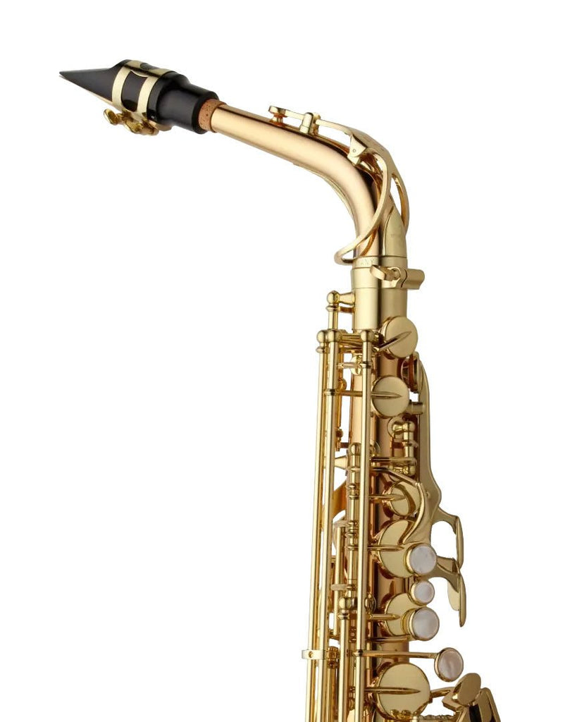 Yanagisawa AWO2 Alto Saxophone - Bronze - EX-DEMO - SAX
