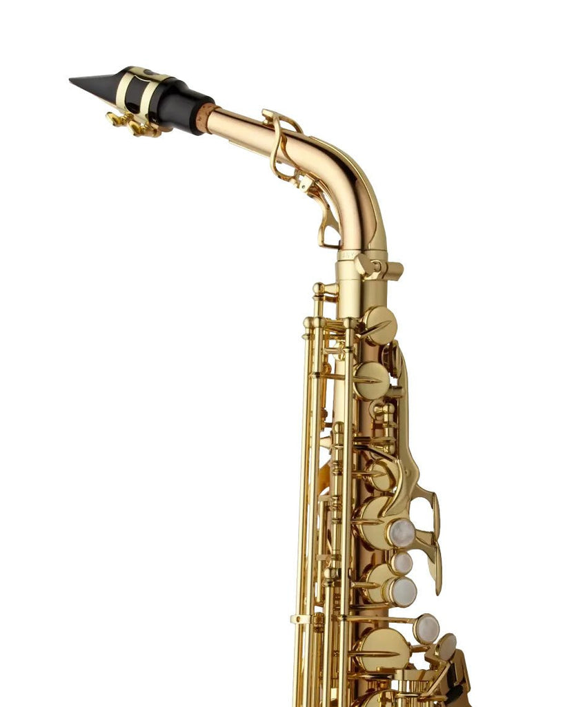 Yanagisawa AWO20U Alto Saxophone - Unlacquered Bronze - SAX