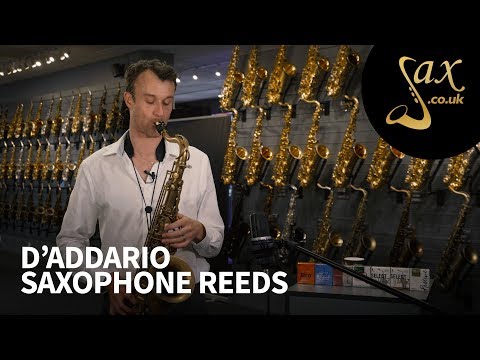 La Voz Tenor Saxofoon Rieten RKC10HD 4 kopen? Altijd de scherpste prijs La Voz Tenor Saxofoon Rieten RKC10HD 4 kopen? Altijd de scherpste prijs